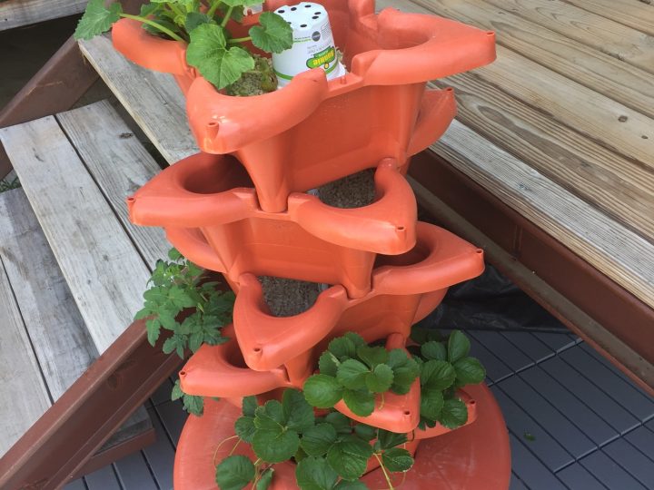 How To Grow Your Tower Garden – Part 1